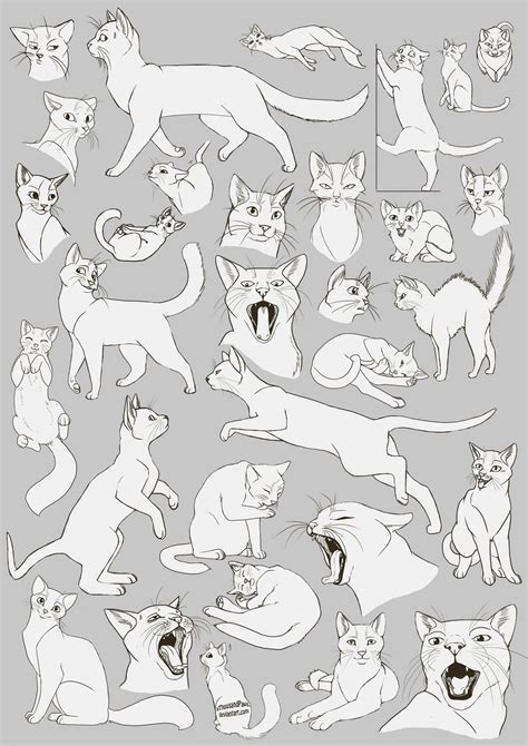 Character posing for artists. . Cat drawing ref